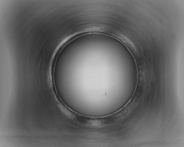 X0000111430792200907201107