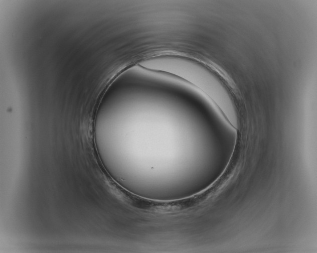 X0000111430793200907201107