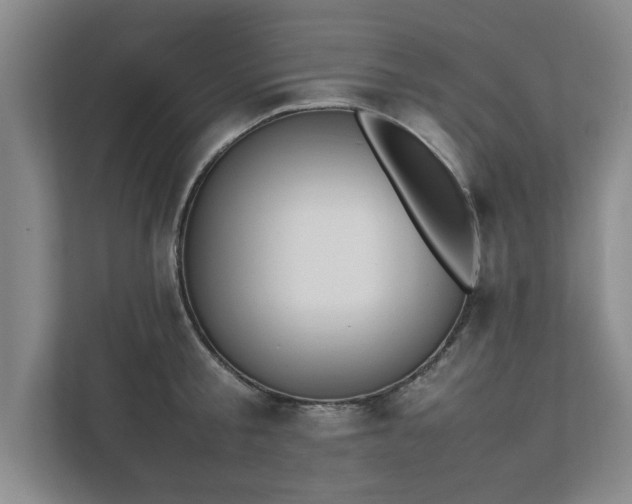 X0000111430805200907201107