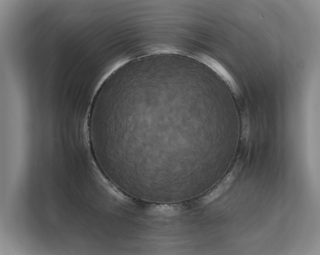 X0000111430806200907201107