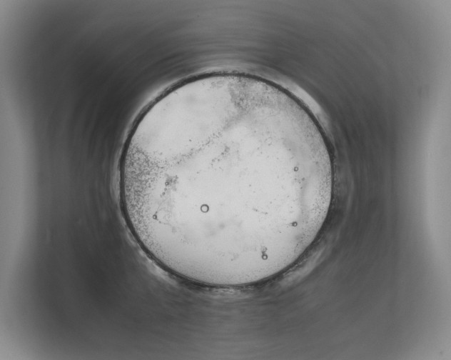 X0000111430807200907201107