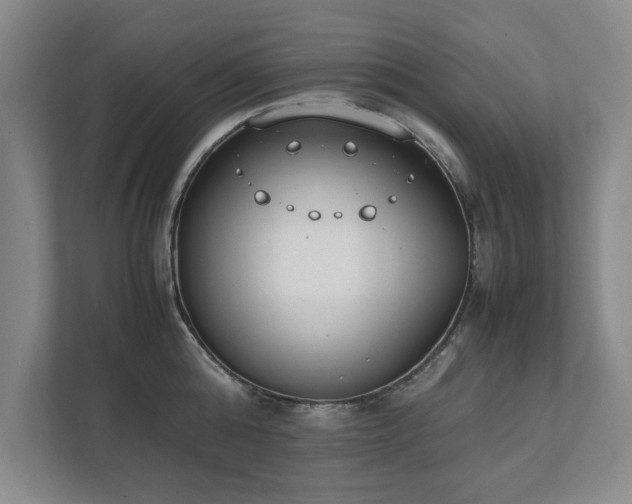 X0000111430808200907201107