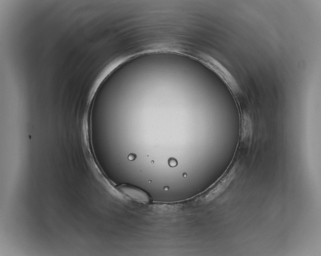 X0000111430812200907201107