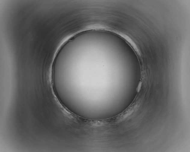 X0000111430815200907201107