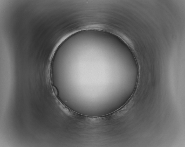 X0000111430816200907201107