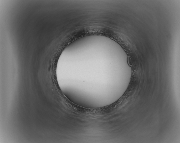 X0000111430817200907201106