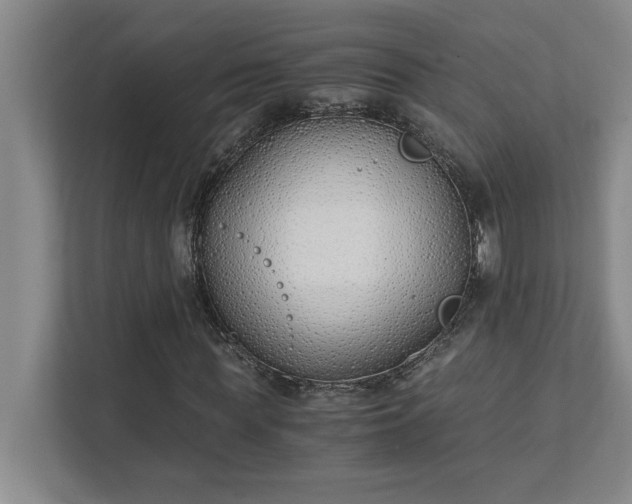 X0000111430819200907201106