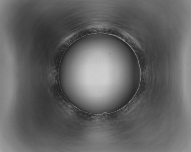 X0000111430822200907201106