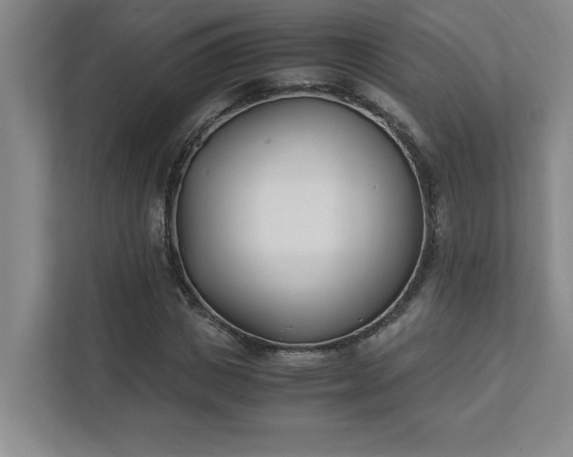 X0000111430825200907201106