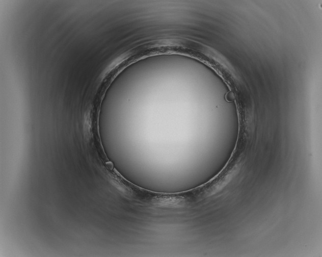 X0000111430826200907201106