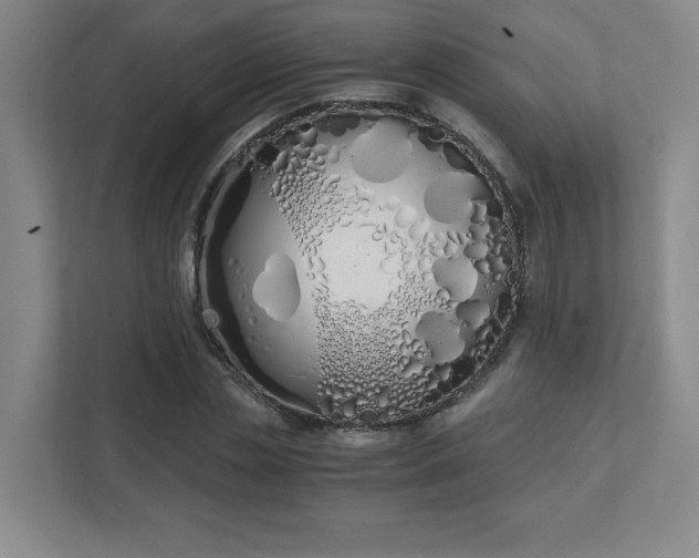 X0000111430829200907201106