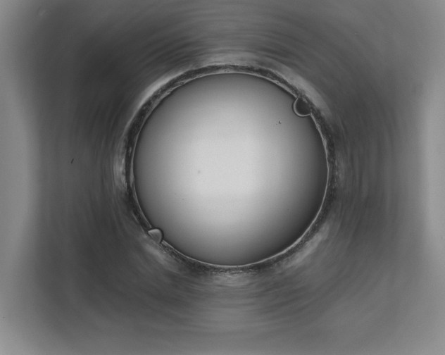 X0000111430830200907201106