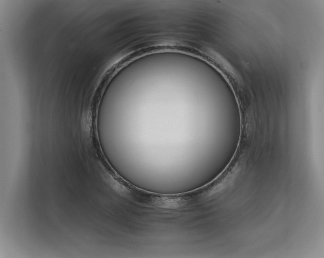 X0000111430831200907201106