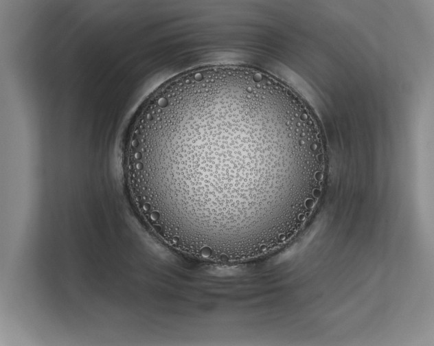 X0000111430835200907201107