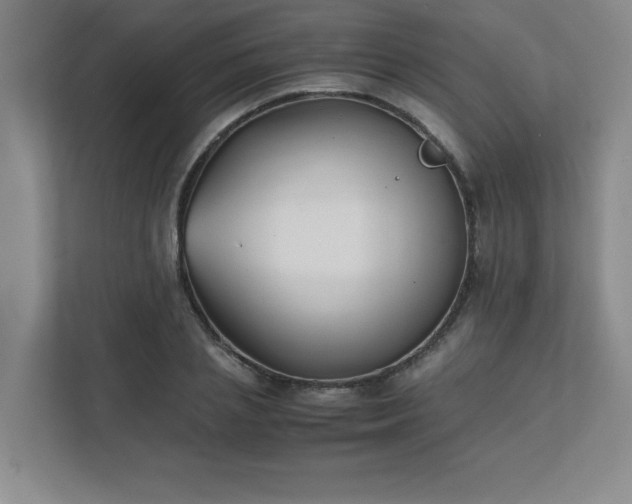 X0000111430837200907201107