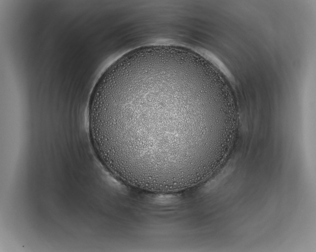 X0000111430839200907201107