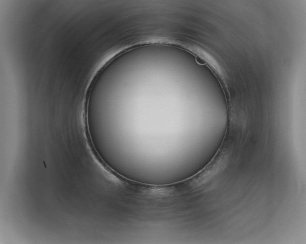 X0000111430847200907201107