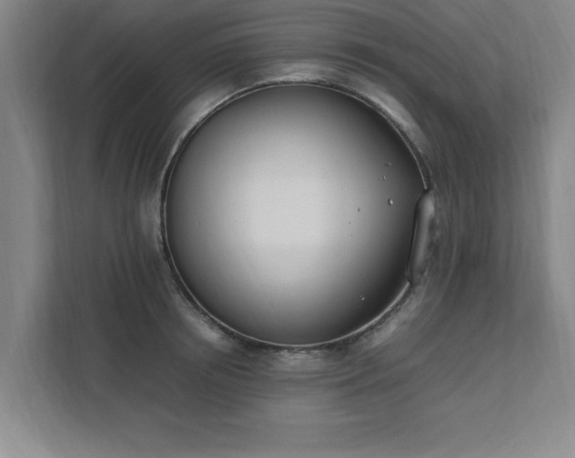 X0000111430850200907201107