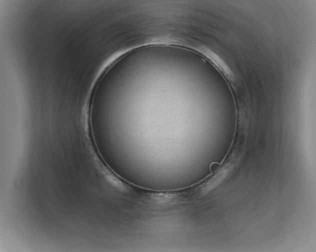 X0000111430854200907201107