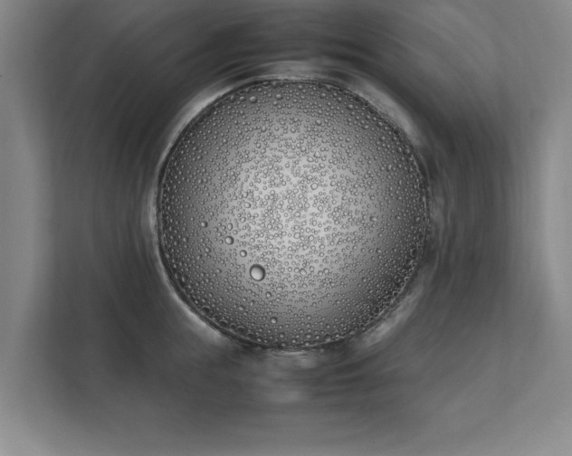 X0000111430855200907201107