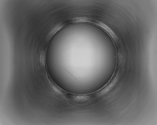 X0000111430857200907201107