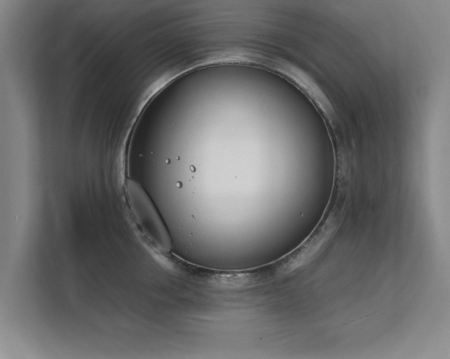 X0000111430858200907201107