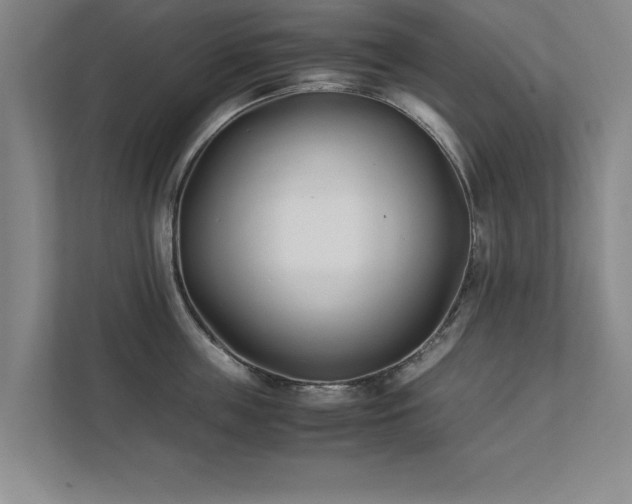 X0000111430859200907201107