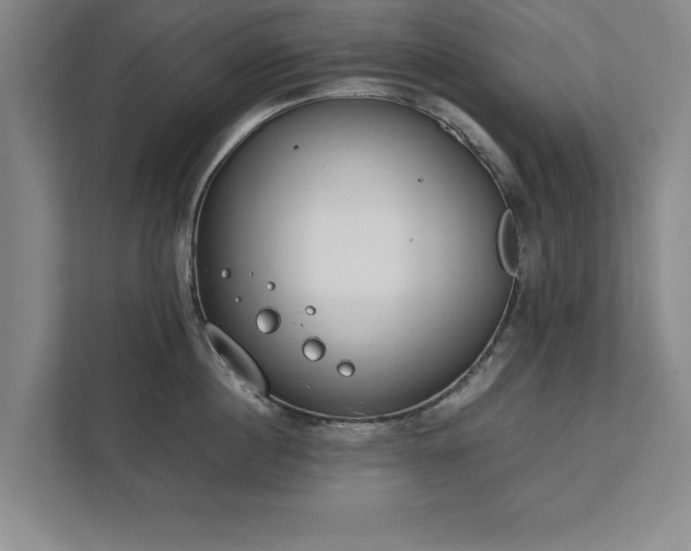 X0000111430860200907201107