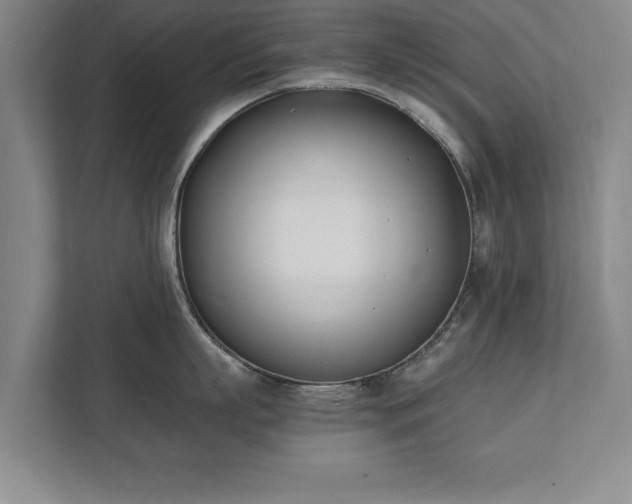 X0000111430863200907201107