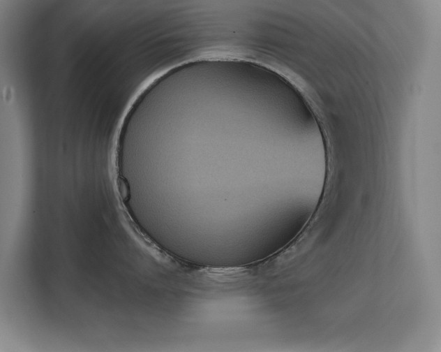 X0000111430864200907201107