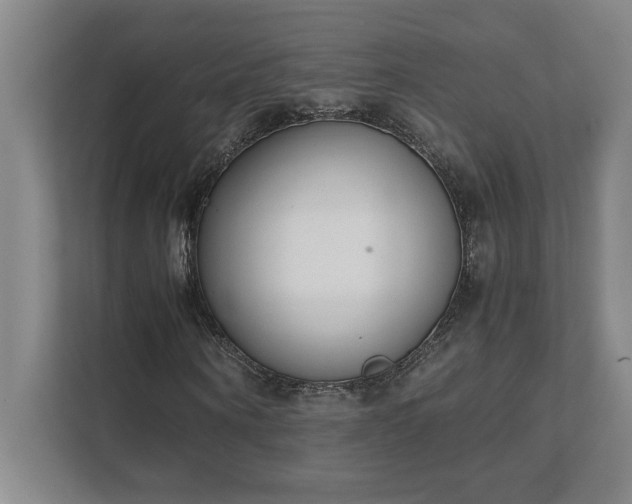 X0000111430866200907201106