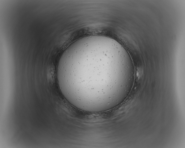 X0000111430867200907201106