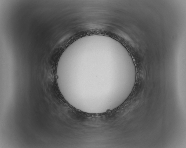 X0000111430869200907201106