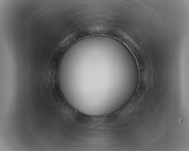 X0000111430870200907201106