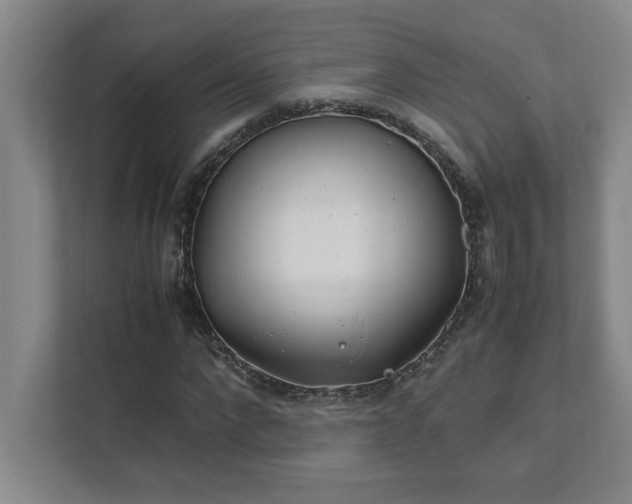 X0000111430872200907201106