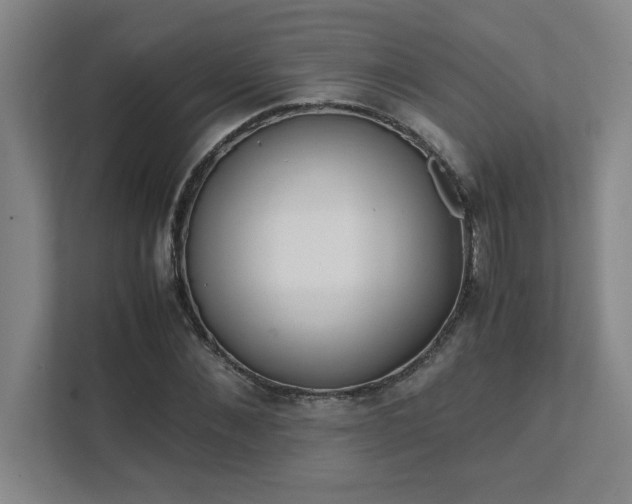 X0000111430876200907201106