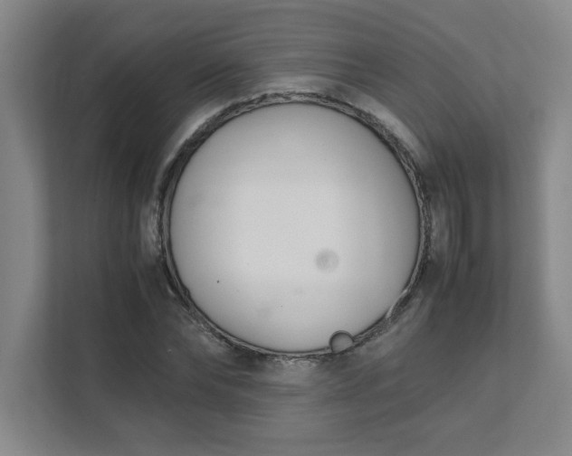 X0000111430878200907201106