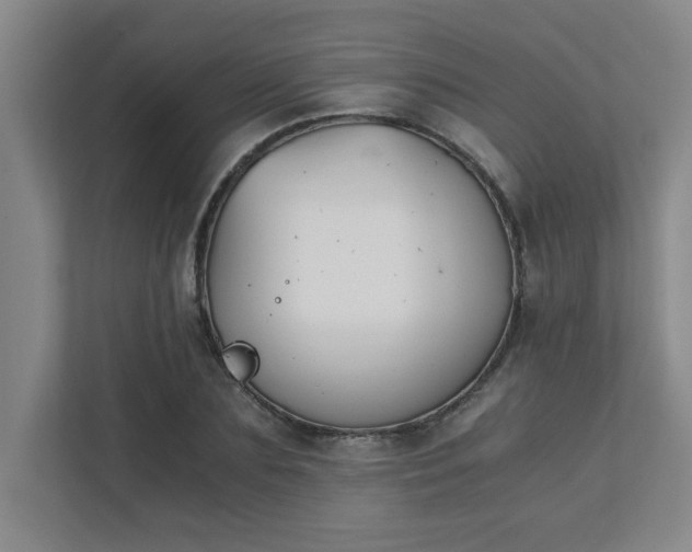 X0000111430883200907201106