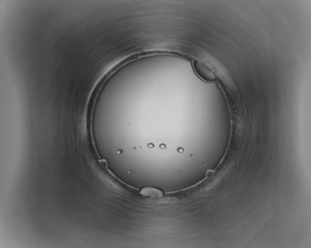 X0000111430884200907201106