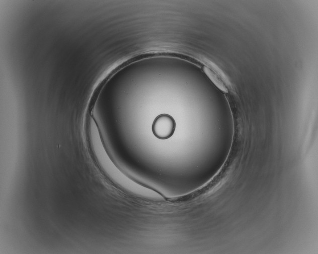 X0000111430885200907201106