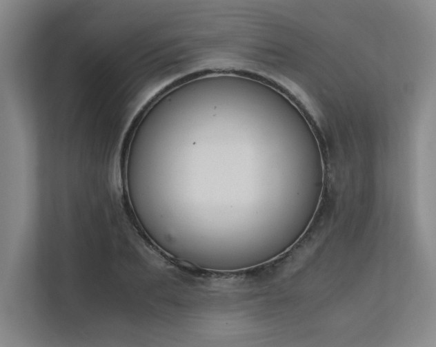 X0000111430887200907201106