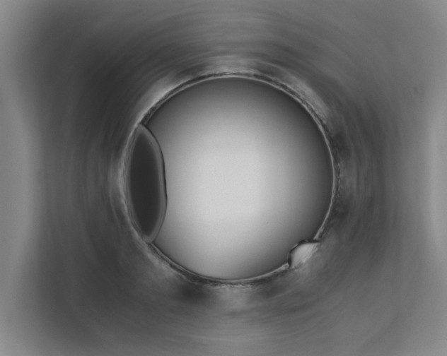 X0000111430893200907201106