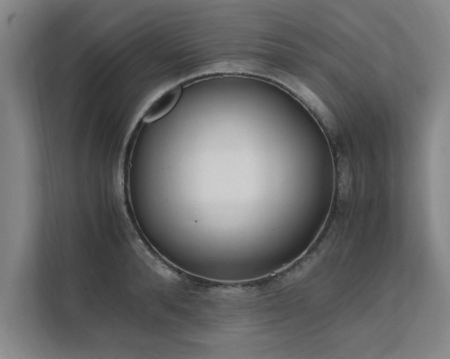 X0000111430896200907201106