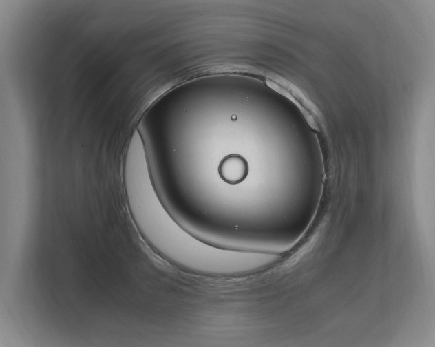 X0000111430897200907201106