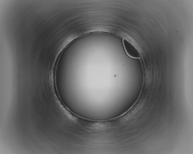 X0000111430898200907201106