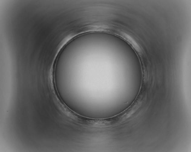 X0000111430899200907201106