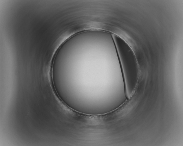 X0000111430901200907201106