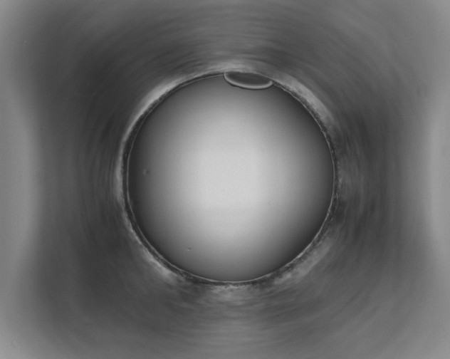 X0000111430902200907201106