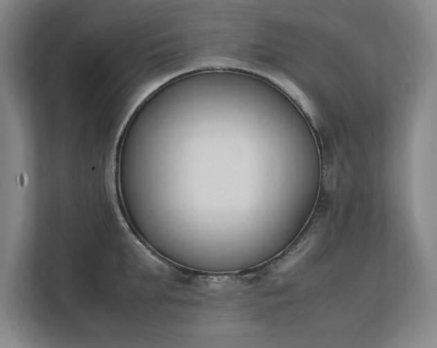 X0000111430903200907201106