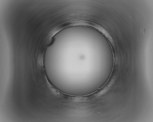 X0000111430905200907201106